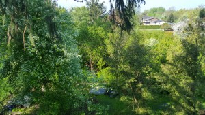20160422_092303