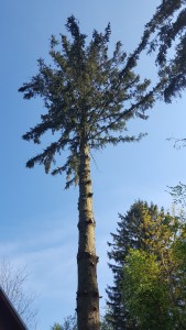 20160422_093912