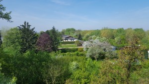 20160422_104319