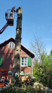 20160422_111535