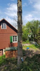 20160422_121908