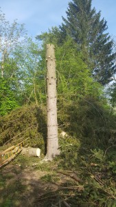 20160422_161854