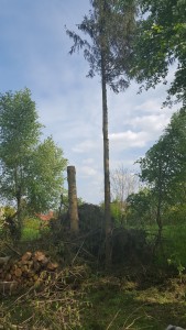 20160422_161856