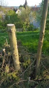 20160422_173023