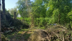 20160506_094942