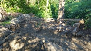 20160730_172112_resized
